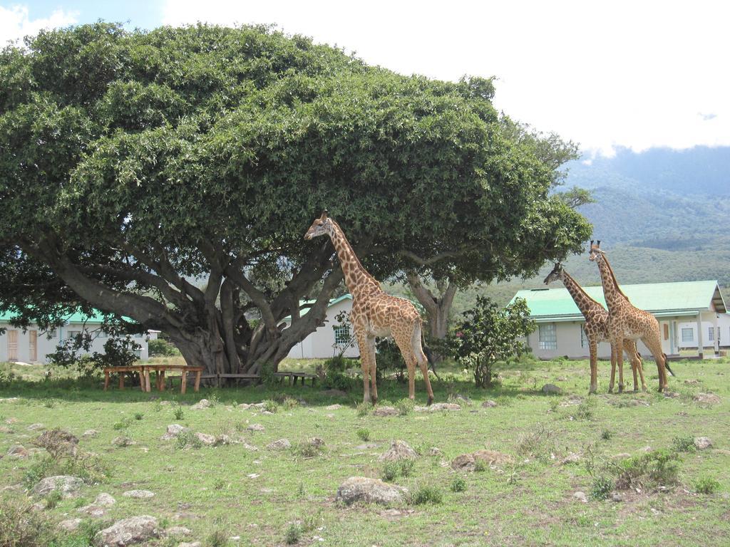 Nature Homes - Africa Amini Life Nkoanrua Екстер'єр фото