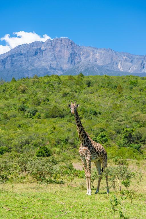 Nature Homes - Africa Amini Life Nkoanrua Екстер'єр фото