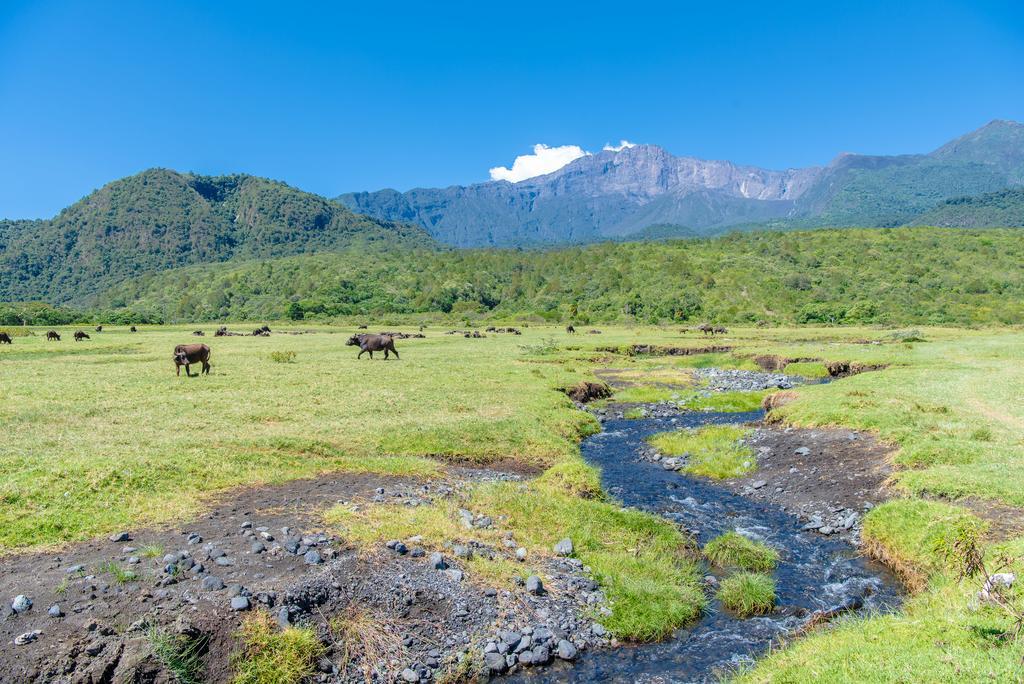 Nature Homes - Africa Amini Life Nkoanrua Екстер'єр фото